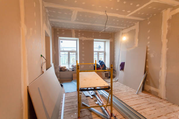 Best Mold Remediation for Vacation Homes  in USA